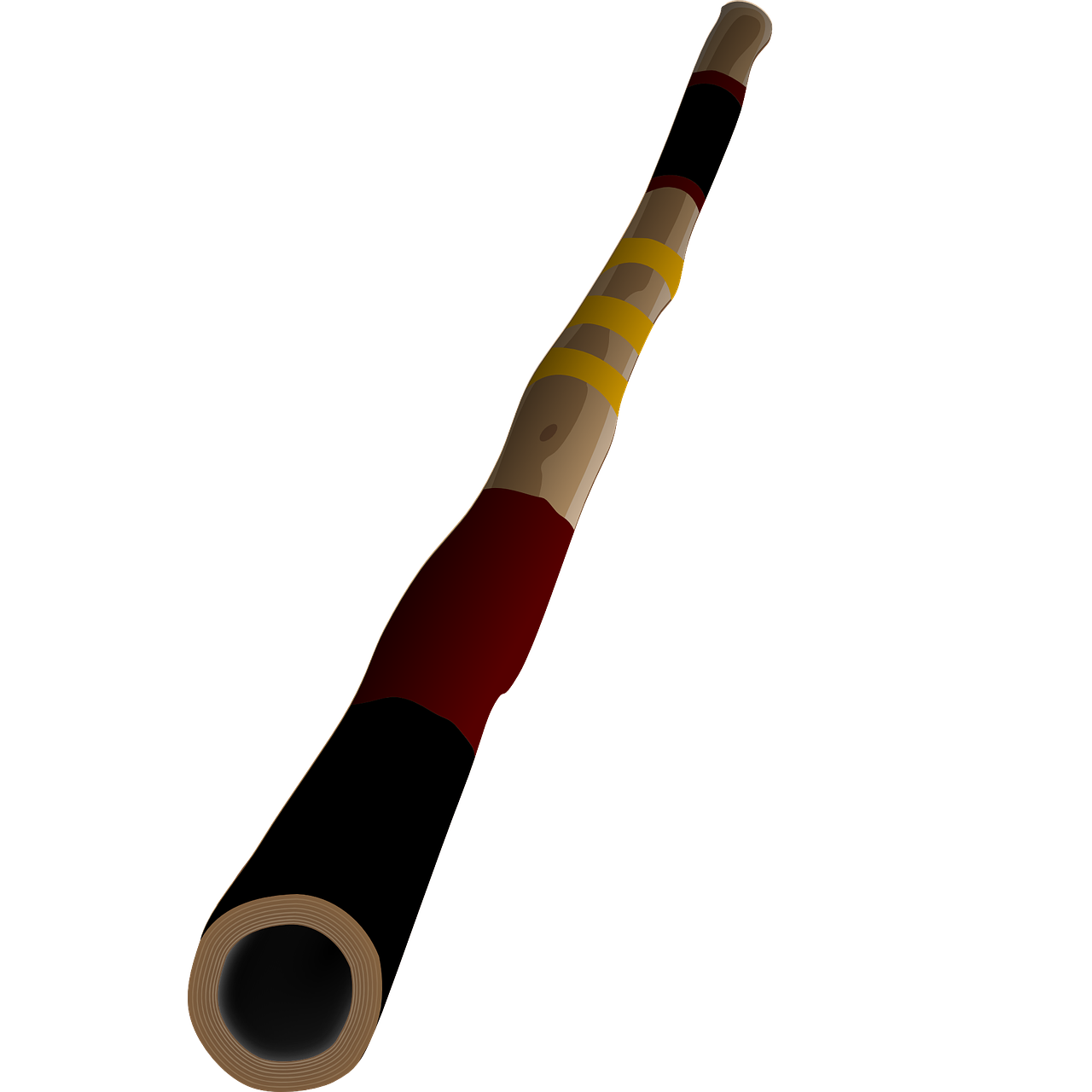 To do Didgeridoo!