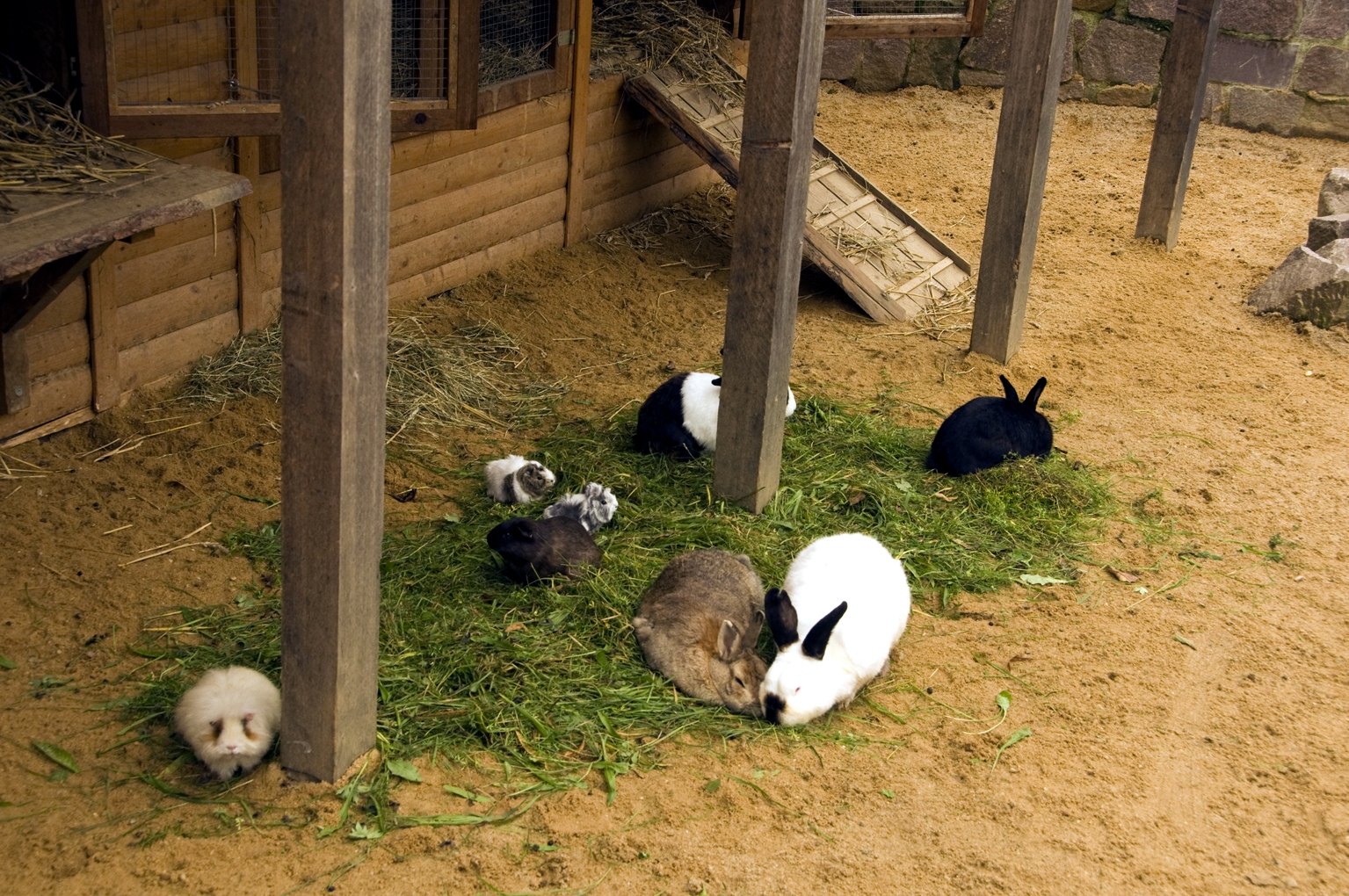 Kaninchen- und Geflügelstall im Botanischen Garten