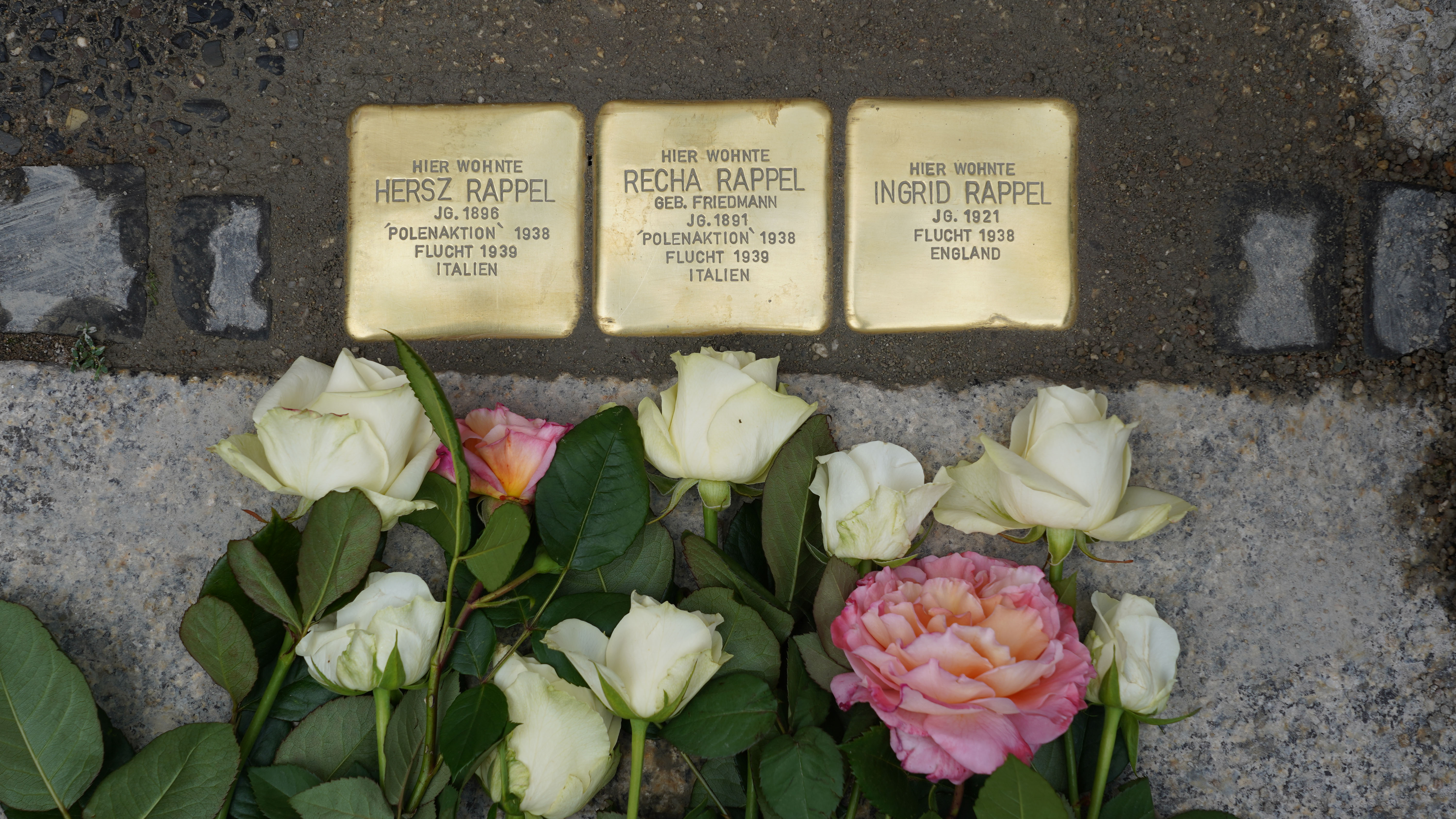 Stolpersteine für Familie Rappel