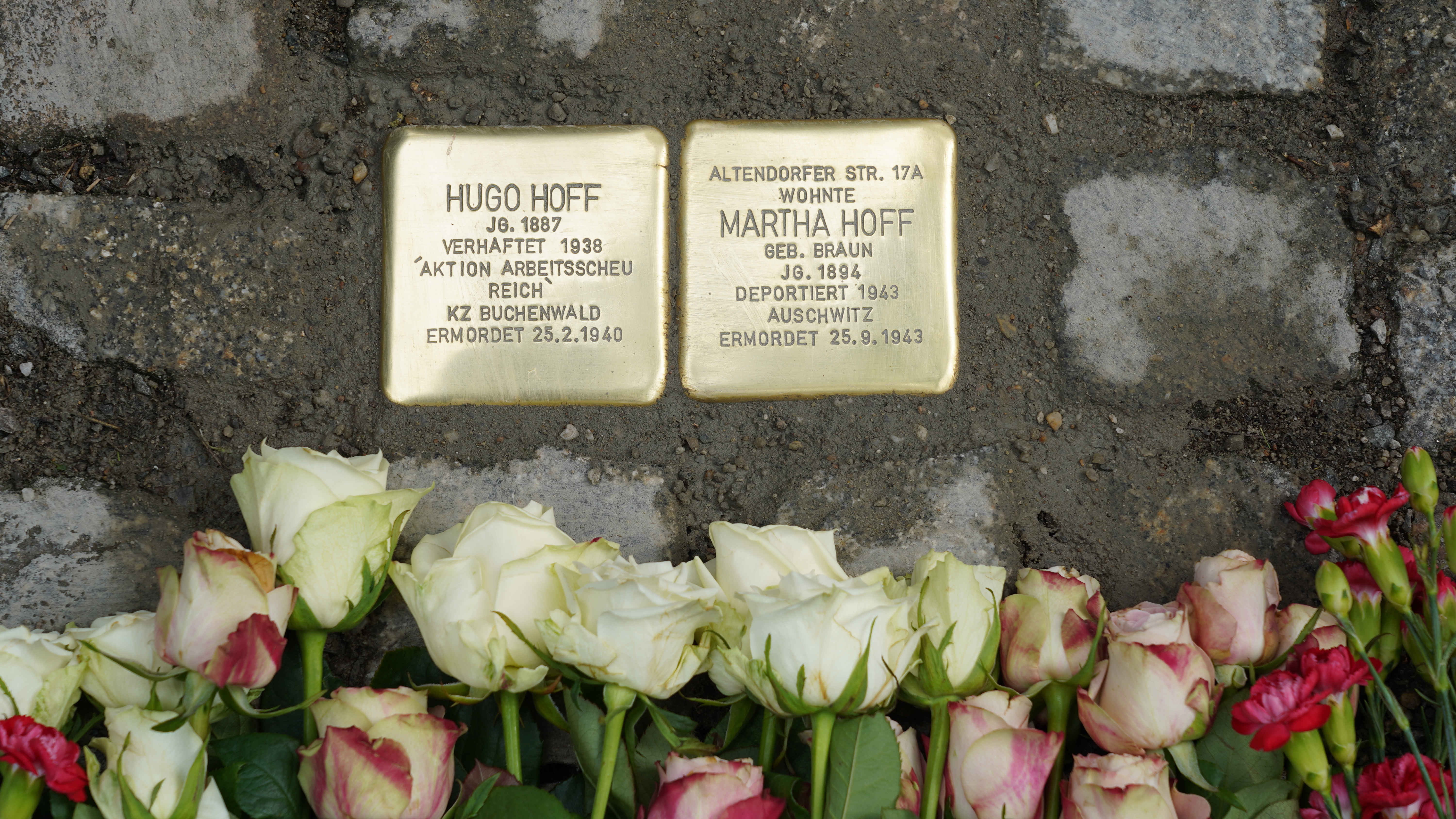 Stolpersteine für Hugo und Martha Hoff