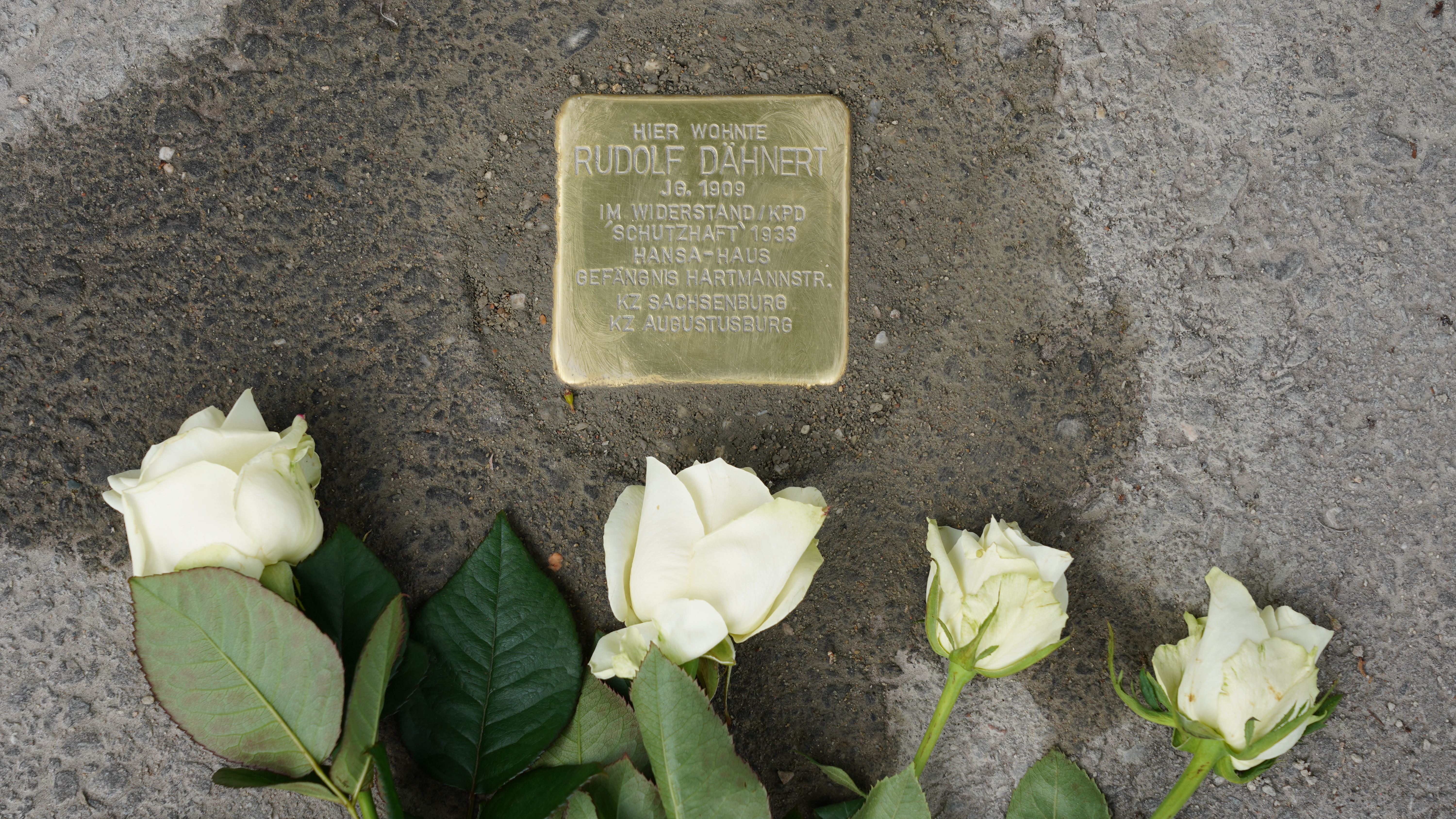 Stolperstein für Rudolf Dähnert