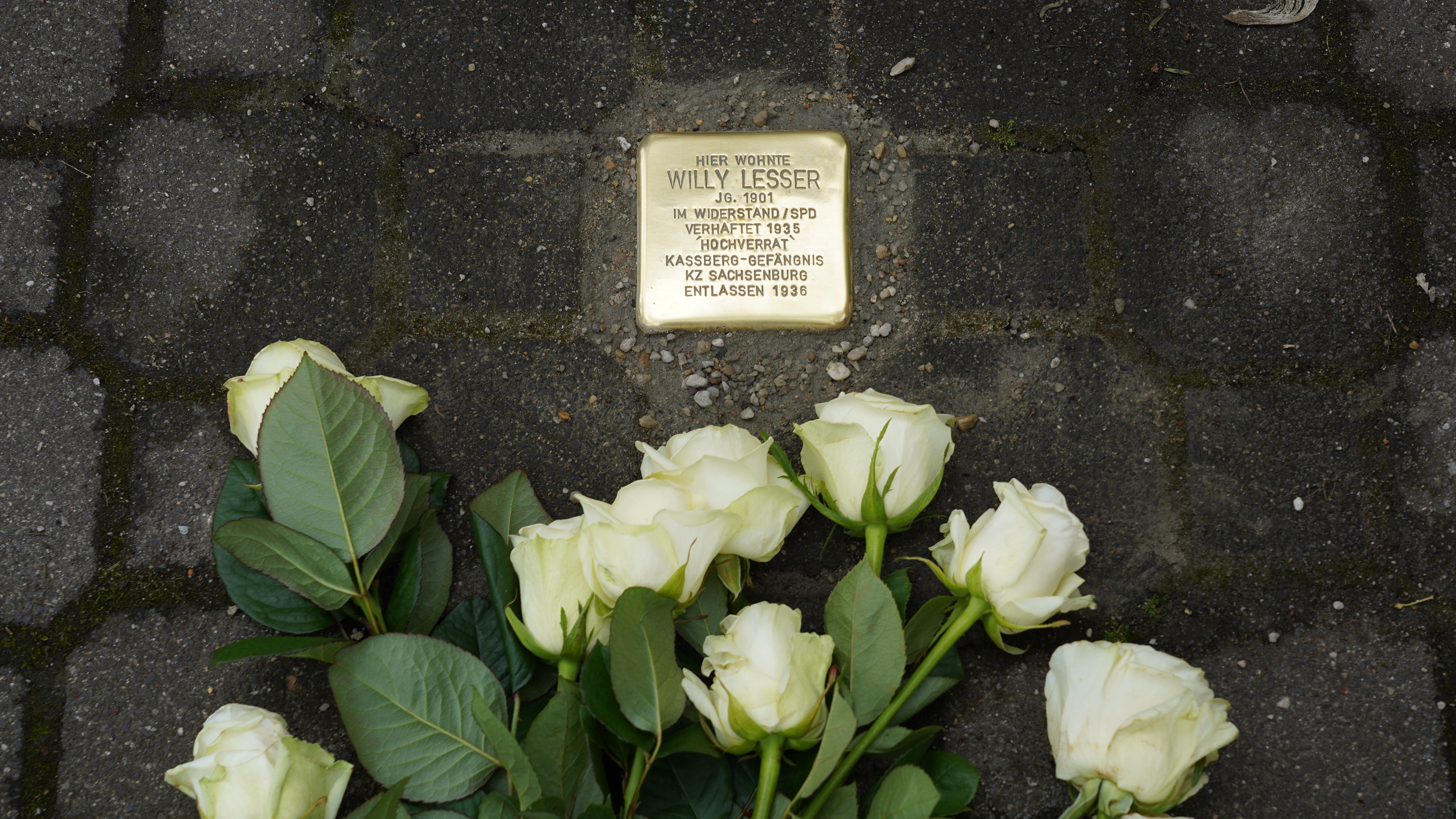 Stolperstein für Willy Lesser