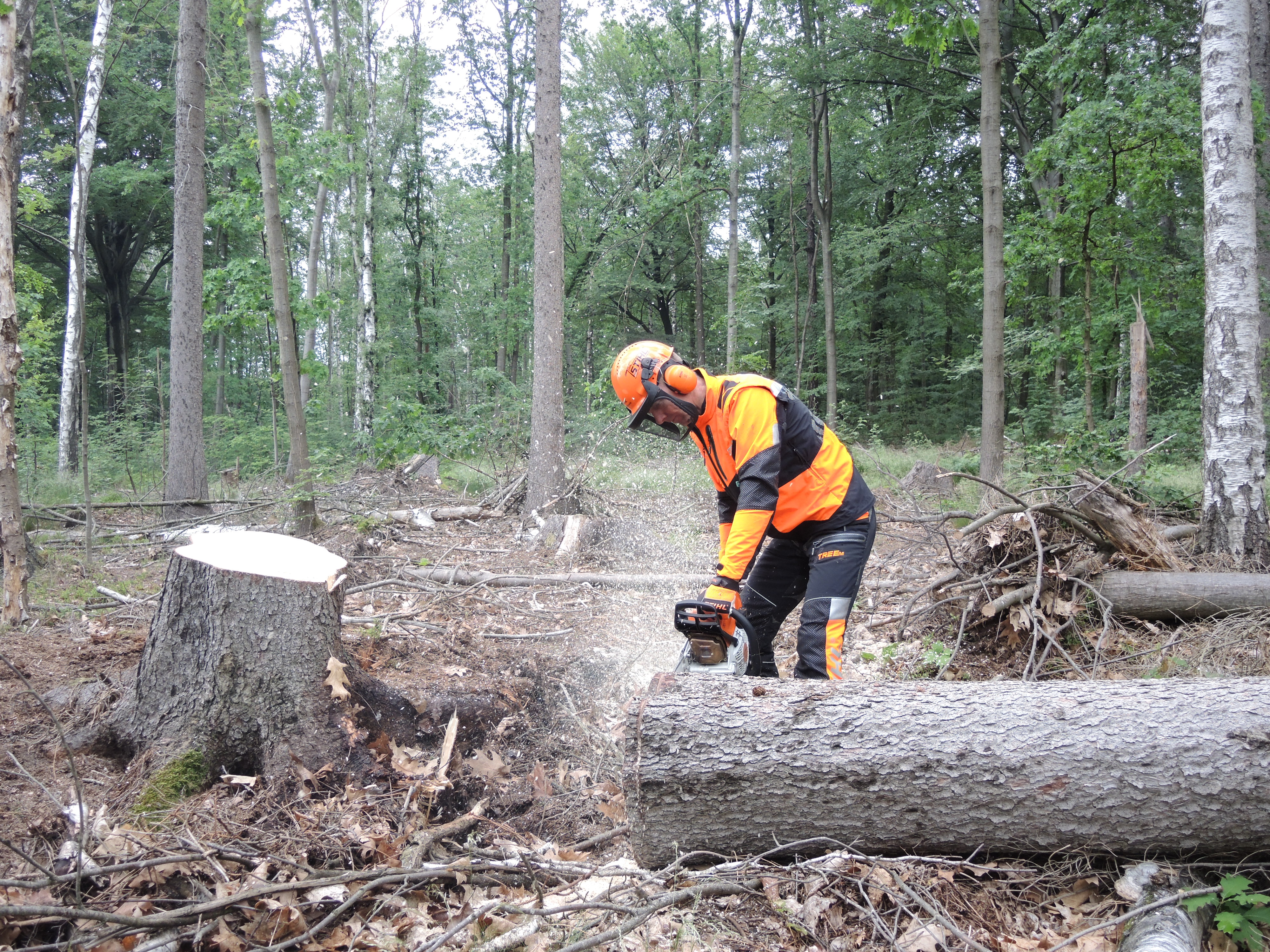 Jan Petzold siegt bei den Deutschen Waldarbeitsmeisterschaften