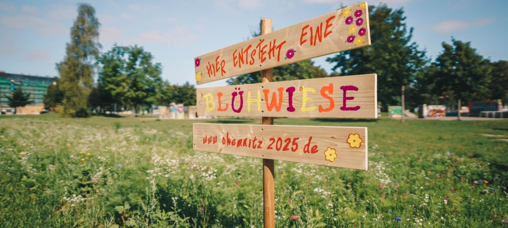 Im Rahmen der Bewerbung zur Europäischen Kulturhauptstadt 2025 entstanden viele Blühwiesen in Chemnitz